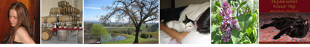 Melinda's places, people, projects...